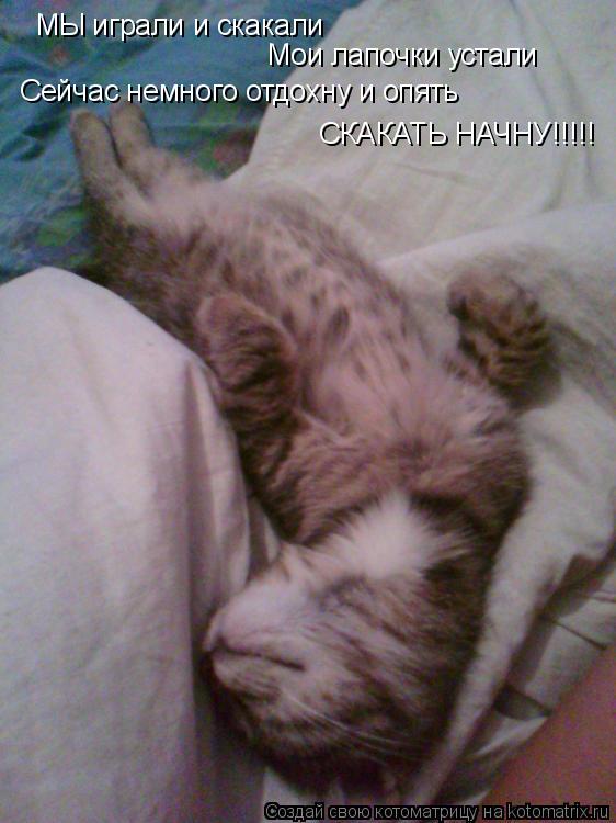 Котоматрица: МЫ играли и скакали Мои лапочки устали Сейчас немного отдохну и опять СКАКАТЬ НАЧНУ!!!!!