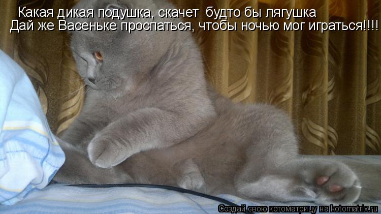 Котоматрица: Какая дикая подушка, скачет  будто бы лягушка Дай же Васеньке проспаться, чтобы ночью мог играться!!!!