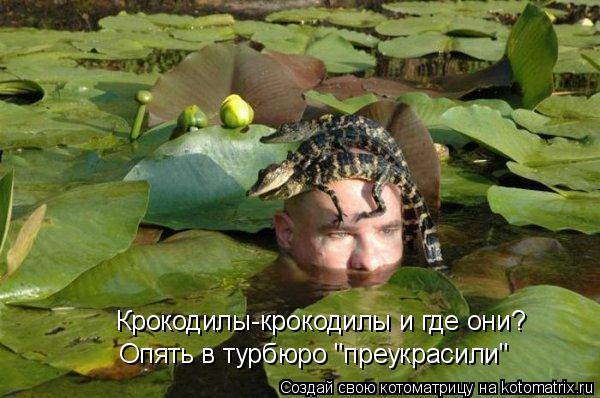 Котоматрица: Крокодилы-крокодилы и где они? Опять в турбюро "преукрасили"