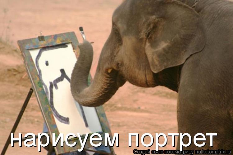 Котоматрица: нарисуем портрет