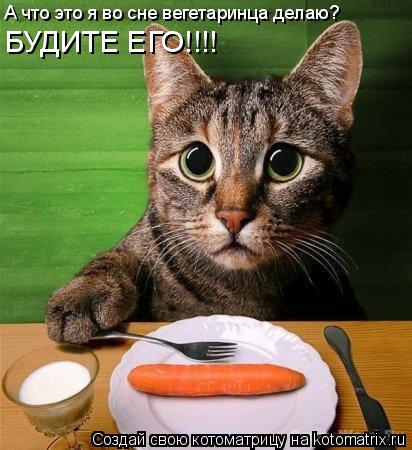 Котоматрица: А что это я во сне вегетаринца делаю? БУДИТЕ ЕГО!!!!