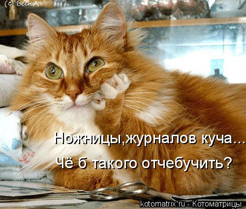 Ножницы,журналов куча... Чё б такого отчебучить?... Котоматрица: Ножницы,журналов куча... Чё б такого отчебучить?