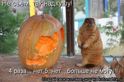 Котоматрица: Не съем, так надкушу! 4 раза... нет 5, нет... больше не могу!!!