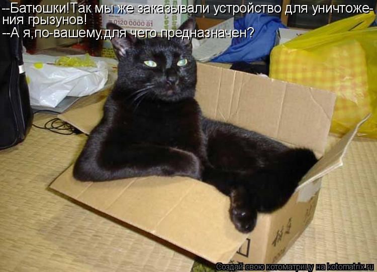 Котоматрица: --Батюшки!Так мы же заказывали устройство для уничтоже- ния грызунов! --А я,по-вашему,для чего предназначен?