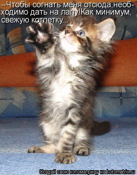 Котоматрица: --Чтобы согнать меня отсюда,необ- ходимо дать на лапу!Как минимум, свежую котлетку...