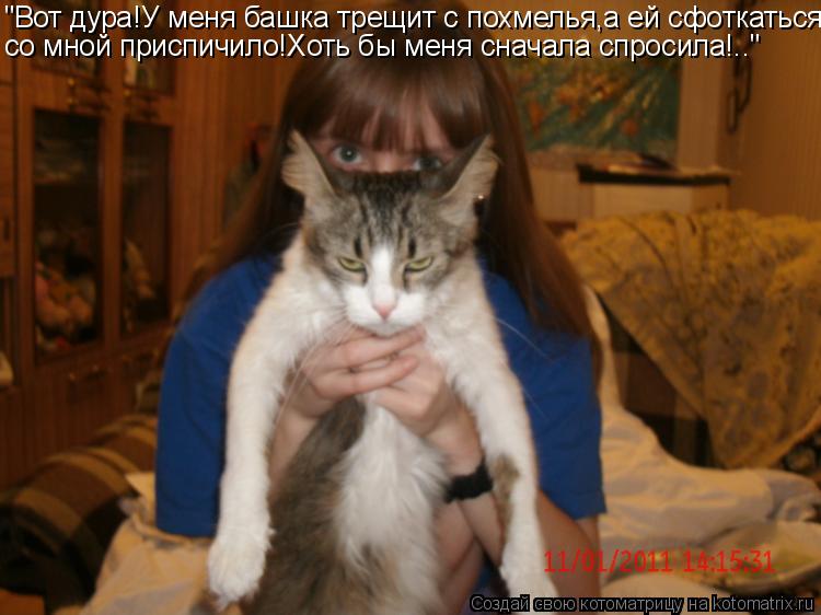 Котоматрица: "Вот дура!У меня башка трещит с похмелья,а ей сфоткаться со мной приспичило!Хоть бы меня сначала спросила!.."