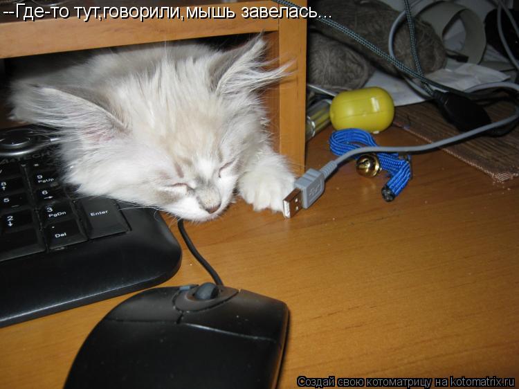 Котоматрица: --Где-то тут,говорили,мышь завелась...