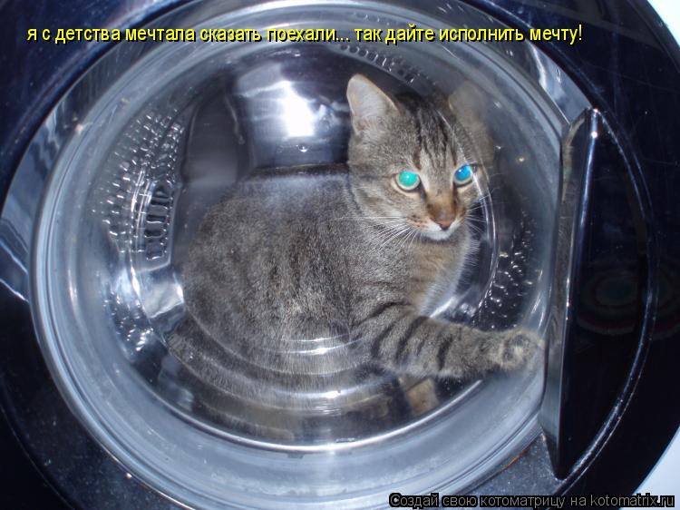 Котоматрица: я с детства мечтала сказать поехали... так дайте исполнить мечту!