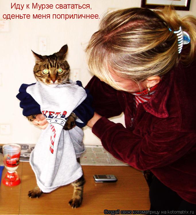 Котоматрица: Иду к Мурзе свататься, оденьте меня поприличнее.