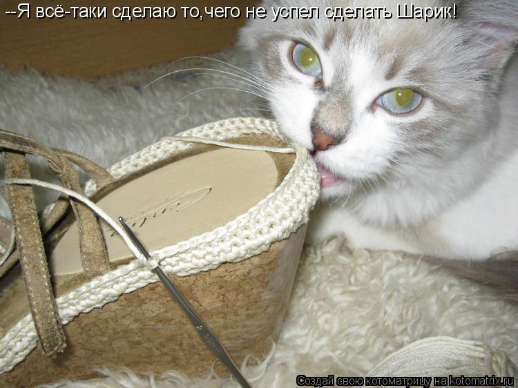 Котоматрица: --Я всё-таки сделаю то,чего не успел сделать Шарик!