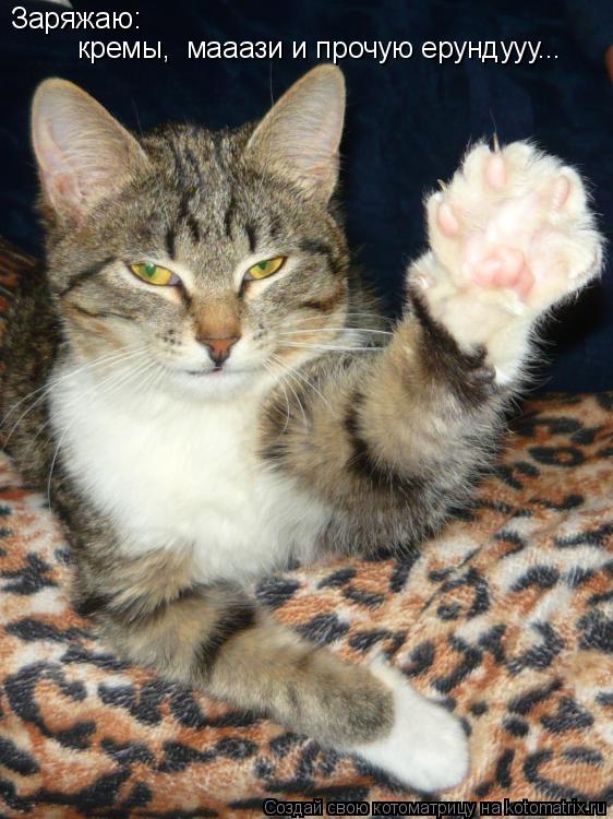 Котоматрица: Заряжаю: кремы,  мааази и прочую ерундууу...