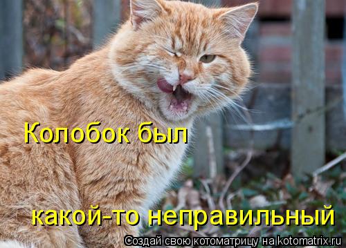 Котоматрица: Колобок был какой-то неправильный