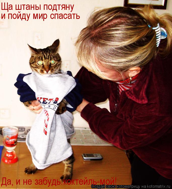 Котоматрица: Ща штаны подтяну и пойду мир спасать Да, и не забудь:коктейль-мой!
