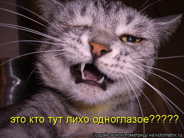Котоматрица: это кто тут лихо одноглазое?????
