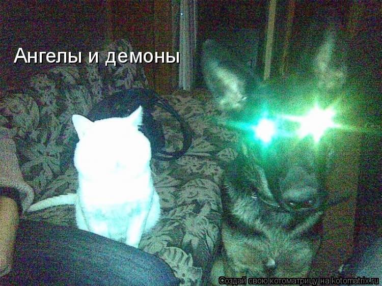Котоматрица: Ангелы и демоны