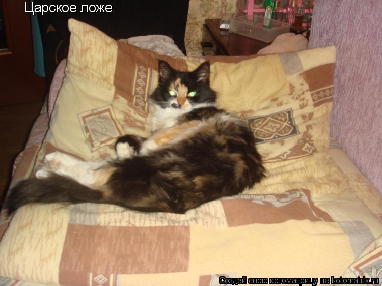 Котоматрица: Царское ложе