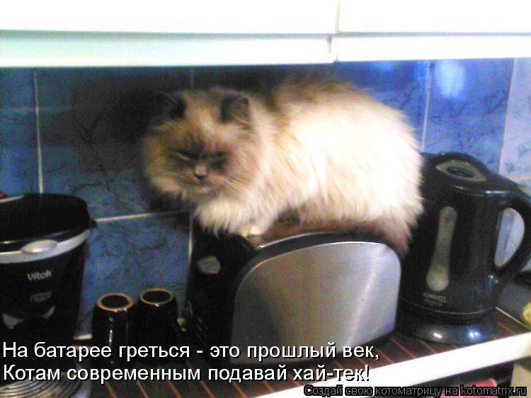 Котам современным подавай хай-тек! Котам современным подавай хай-тек! На батарее греться - это прошлы... Котоматрица: Котам современным подавай хай-тек! Котам современным подавай хай-тек! На батарее греться - это прошлый век,