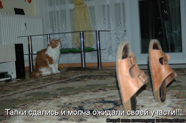 Котоматрица: Тапки сдались и молча ожидали своей участи!!!
