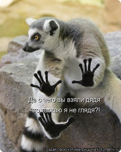 Котоматрица: Да с чего вы взяли дядя что таскаю я не глядя?!