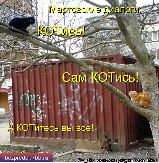 Котоматрица: КОТись!  Сам КОТись! Мартовские диалоги: А КОТитесь вы все!