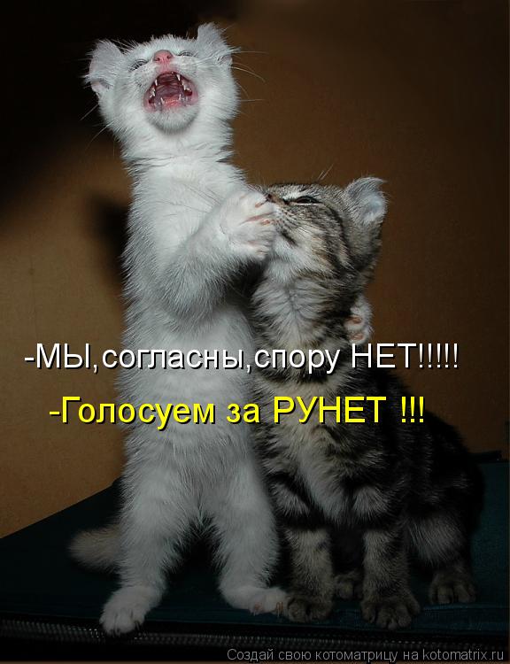 Котоматрица: -МЫ,согласны,спору НЕТ!!!!! -Голосуем за РУНЕТ !!!