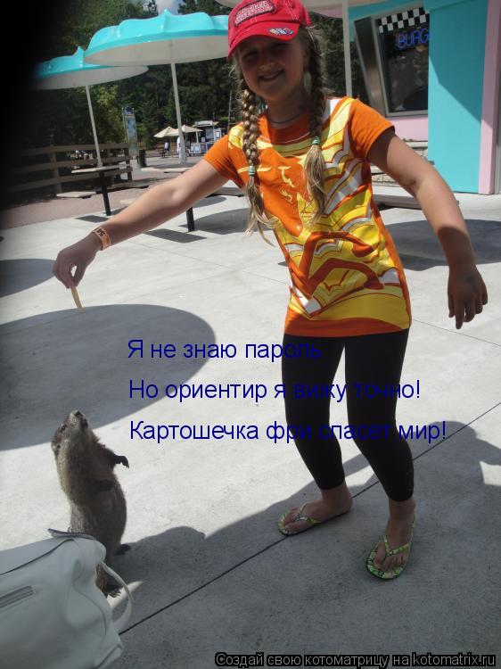 Котоматрица: Я не знаю пароль Но ориентир я вижу точно!  Картошечка фри спасет мир!