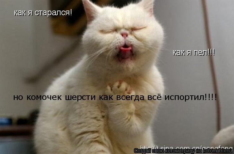 Котоматрица: как я старался! как я пел!!! но комочек шерсти как всегда всё испортил!!!!