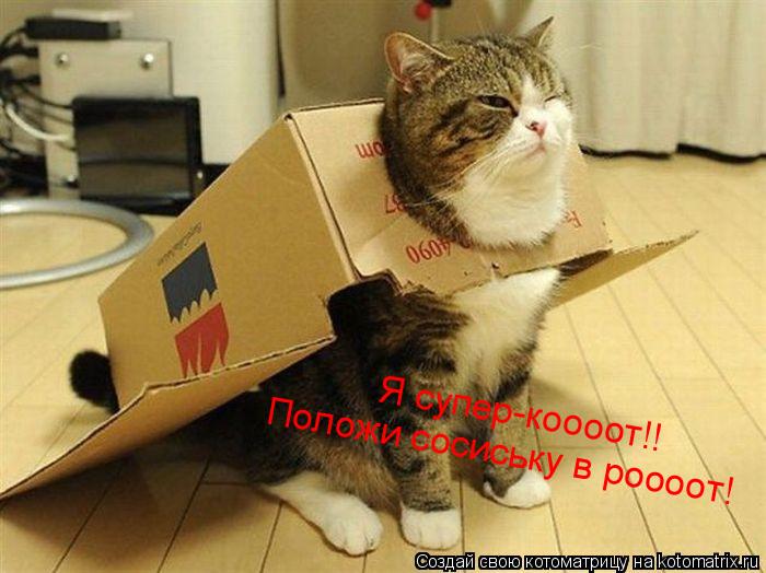 Котоматрица: Я супер-коооот!! Положи сосиську в роооот!