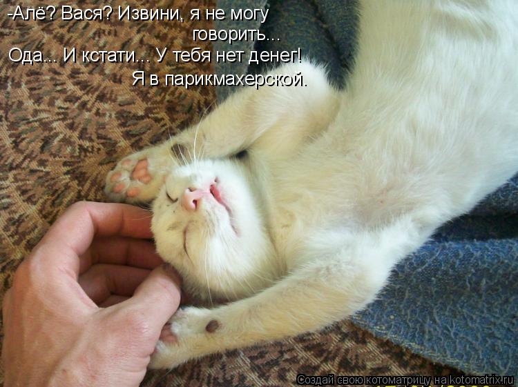 Котоматрица: -Алё? Вася? Извини, я не могу  говорить... Ода... И кстати... У тебя нет денег! Я в парикмахерской.