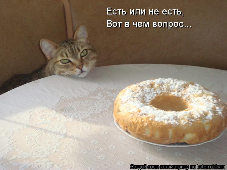 Котоматрица: Есть или не есть, Вот в чем вопрос...