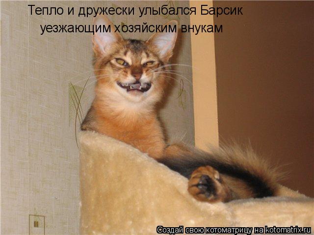 Котоматрица: Тепло и дружески улыбался Барсик  уезжающим хозяйским внукам