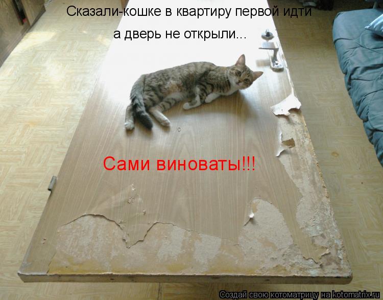 Котоматрица: Сказали-кошке в квартиру первой идти а дверь не открыли... Сами виноваты!!!