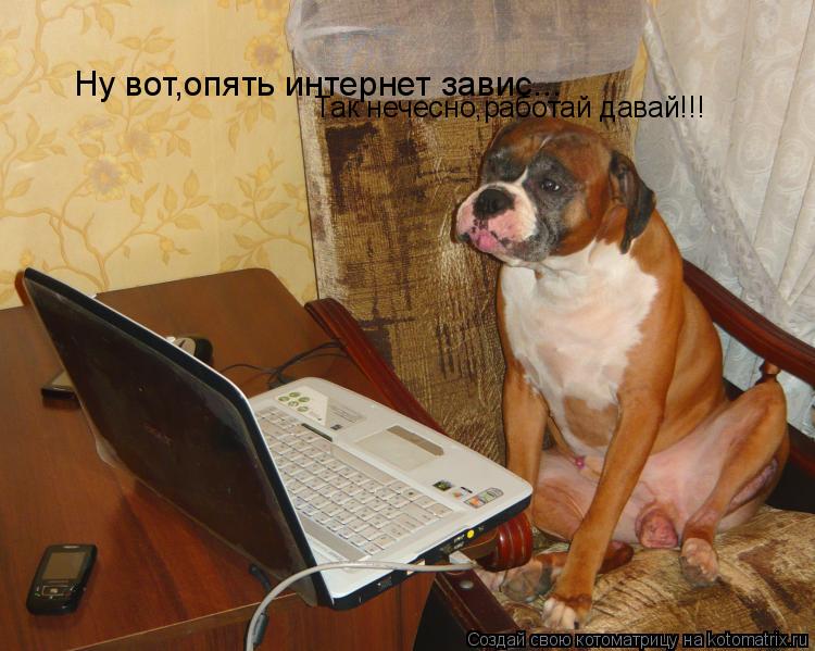 Котоматрица: Ну вот,опять интернет завис... Так нечесно,работай давай!!!