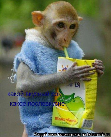 Котоматрица: какой вкусный сок . какое послевкусие