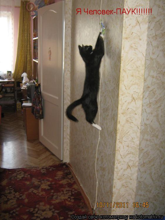 Котоматрица: Я Человек-ПАУК!!!!!!!