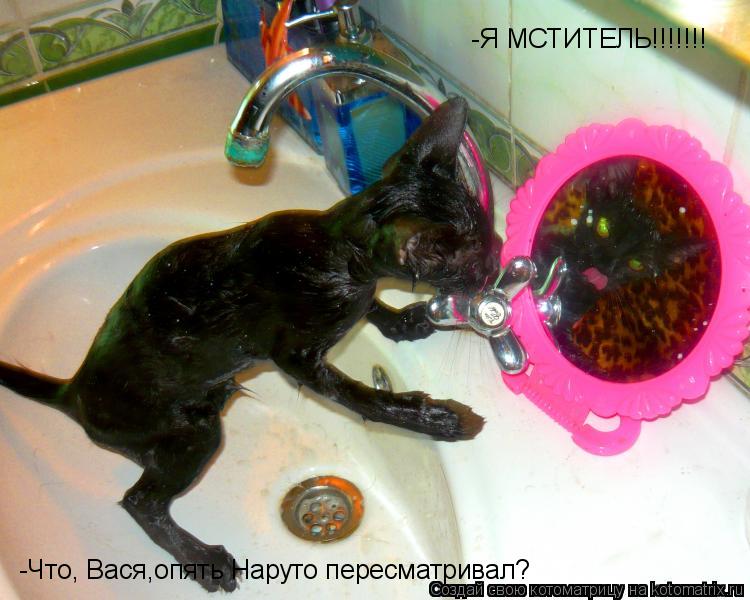 Котоматрица: -Я МСТИТЕЛЬ!!!!!!! -Что, Вася,опять Наруто пересматривал?