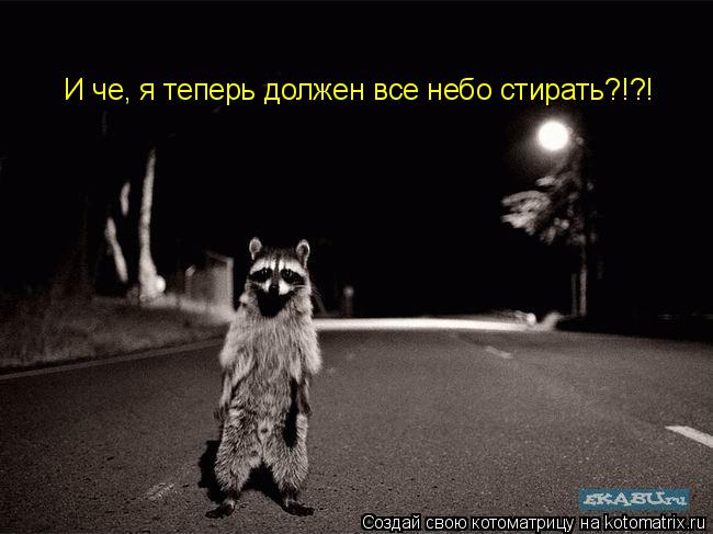 Котоматрица: И че, я теперь должен все небо стирать?!?!