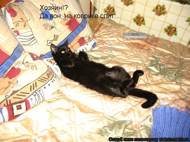 Котоматрица: Хозяин!?  Да вон, на коврике спит...