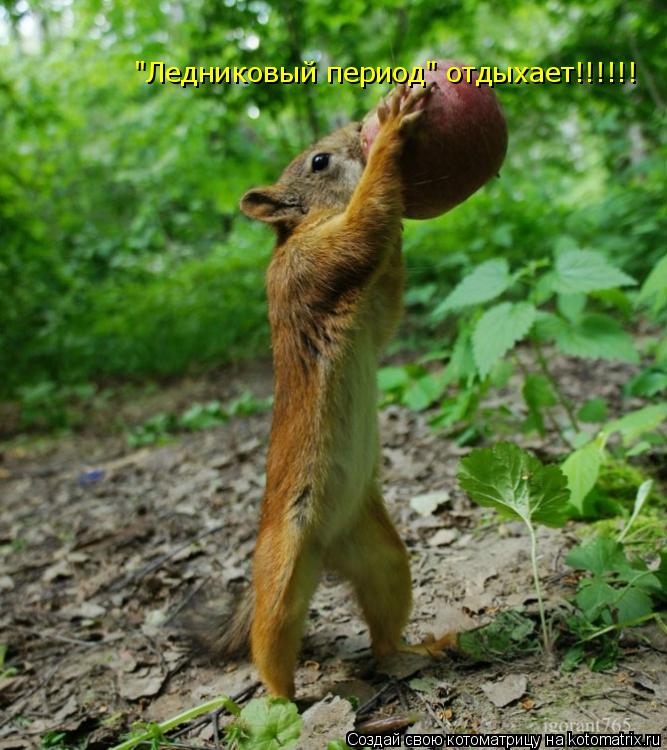 Котоматрица: "Ледниковый период" отдыхает!!!!!!