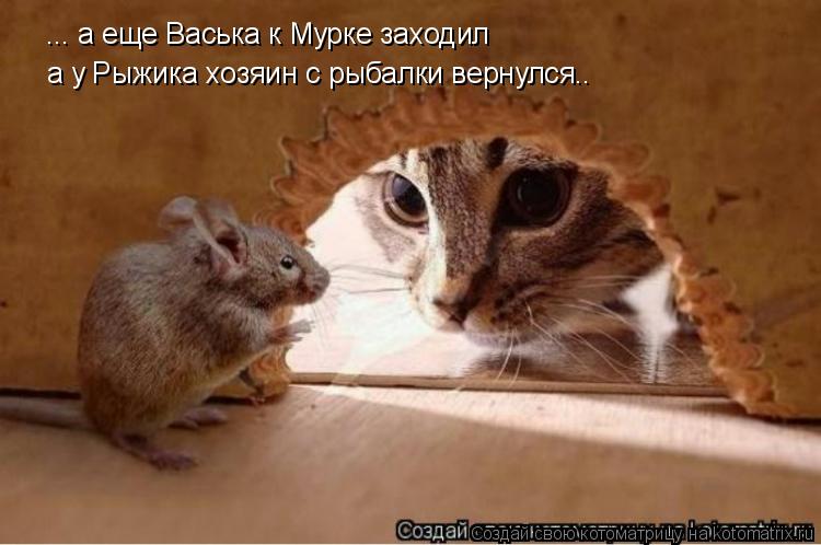 Котоматрица: ... а еще Васька к Мурке заходил а у Рыжика хозяин с рыбалки вернулся..