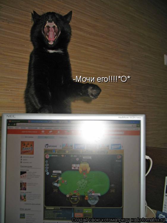 Котоматрица: -Мочи его!!!!*О* -Мочи его!!!!*О*