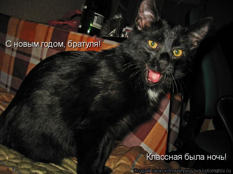 Котоматрица: С новым годом, братуля!  Классная была ночь!
