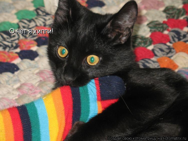 Котоматрица: О нет я хиппи! О нет я хиппи!