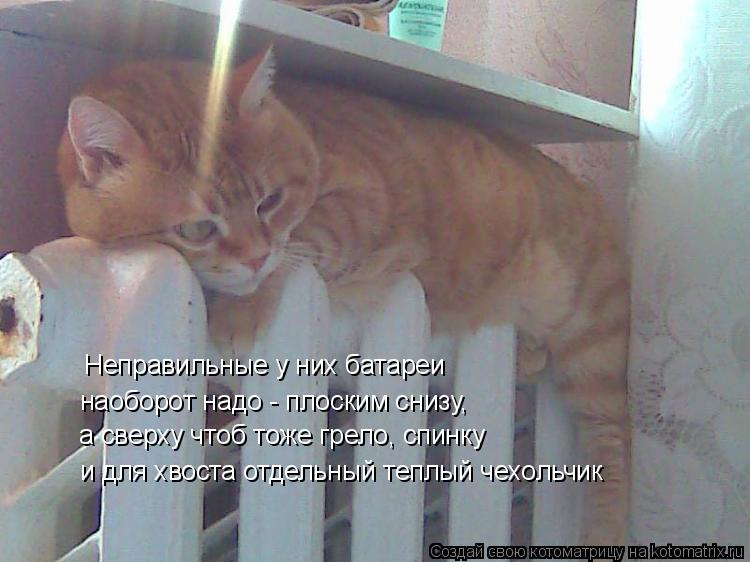 Котоматрица: Неправильные у них батареи наоборот надо - плоским снизу, а сверху чтоб тоже грело, спинку и для хвоста отдельный теплый чехольчик