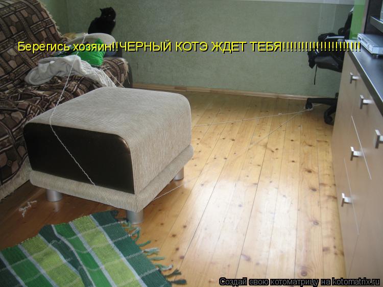 Котоматрица: Берегись хозяин!!ЧЕРНЫЙ КОТЭ ЖДЕТ ТЕБЯ!!!!!!!!!!!!!!!!!!!!!