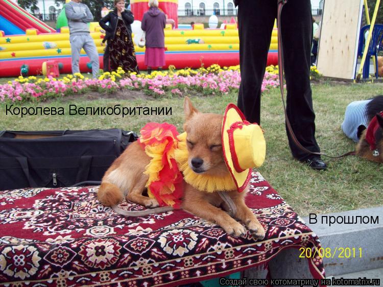 Котоматрица: Королева Великобритании В прошлом