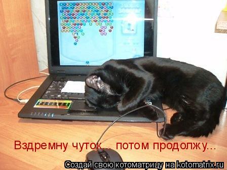 Котоматрица: Вздремну чуток... потом продолжу...