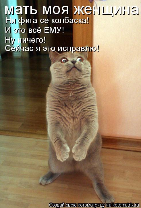 Котоматрица: мать моя женщина!!! Ни фига се колбаска! И это всё ЕМУ! Ну ничего! Сейчас я это исправлю!