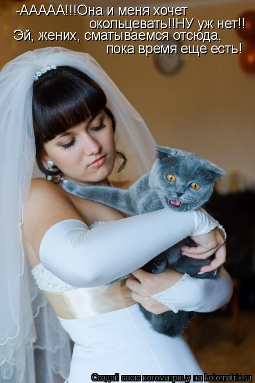 Котоматрица: -ААААА!!!Она и меня хочет окольцевать!!НУ уж нет!! Эй, жених, сматываемся отсюда,  пока время еще есть!