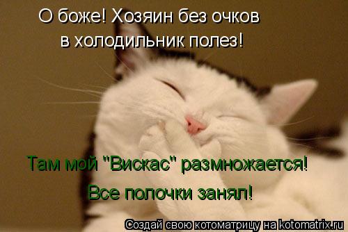 Котоматрица: О боже! Хозяин без очков  в холодильник полез! Там мой "Вискас" размножается! Все полочки занял!